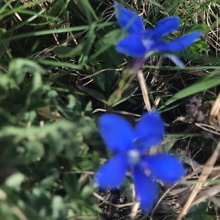 Kulturland Retreat Appartement *