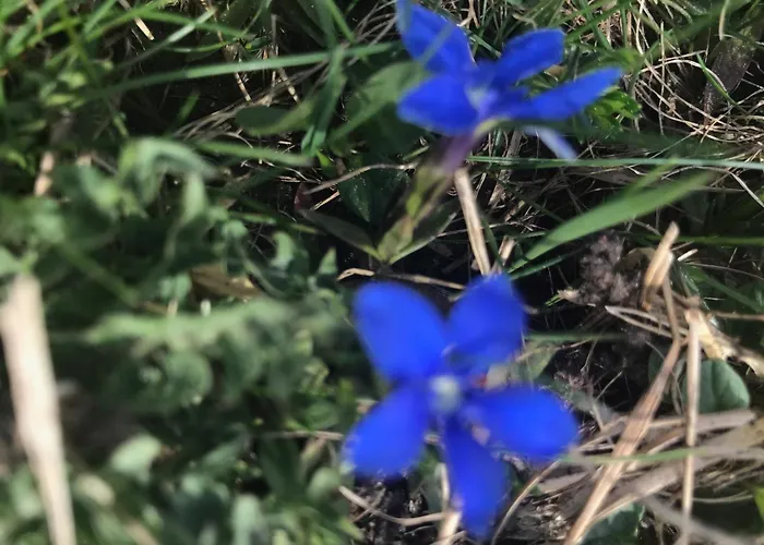 Kulturland Retreat Appartement *